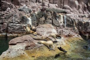 Espiritu Santo Island-11