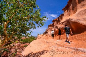 Espiritu Santo Island-3